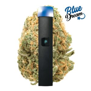 PLUGplay | JUSTplay™ Blue Dream All-in-One Pen – 1.0g