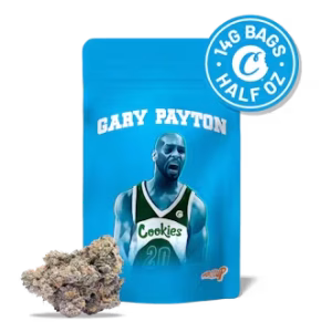 Gary Payton (Indoor)